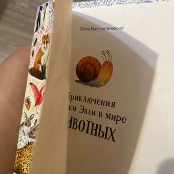 Первые книжки малыша Clever Приключения улитки Элли в мире животных (мягкая обложка): отзыв пользователя Детский Мир