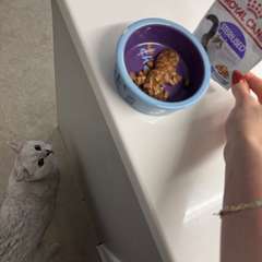 Фото отзыва 10584765