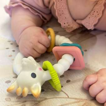 Прорезыватель Sophie la girafe Подарочный: отзыв пользователя Детский Мир