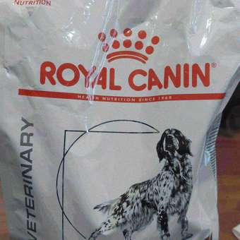 Корм для собак ROYAL CANIN Gastro Intestinal Low Fat LF22 при нарушении пищеварения с ограниченным содержанием жиров 1.5кг: отзыв пользователя. Зоомагазин Зоозавр