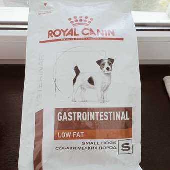 Корм для собак ROYAL CANIN Gastrointestinal low fat мелких пород 3кг: отзыв пользователя. Зоомагазин Зоозавр