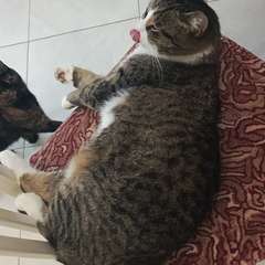 Фото отзыва 11200947