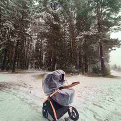 Фото отзыва 10749895