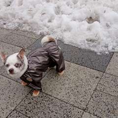 Фото отзыва 11101048