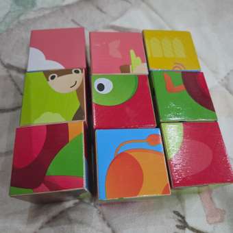 Настольная игра Hape Кубики: отзыв пользователя Детский Мир