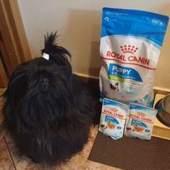 Фото отзыва 11025881