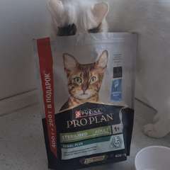 Фото отзыва 10956438