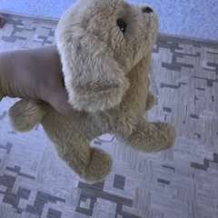 Фото отзыва 10885156