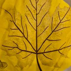 Фото отзыва 10625289