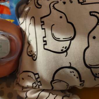 Пустышка Philips Avent силикон от 0 мес. 2 шт.: отзыв пользователя ДетМир