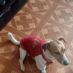 Фото отзыва 11171427