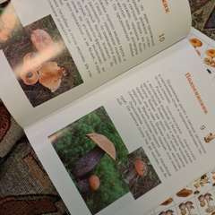 Фото отзыва 10673269