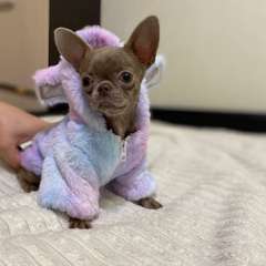 Фото отзыва 10590642