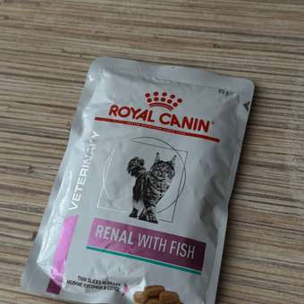 Корм для кошек ROYAL CANIN renal с рыбой 85г пауч: отзыв пользователя. Зоомагазин Зоозавр