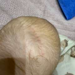 Фото отзыва 10826220