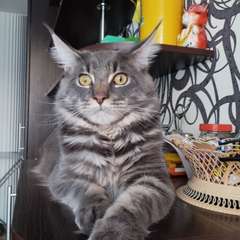 Фото отзыва 10948324