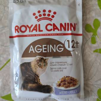 Корм для кошек ROYAL CANIN Ageing 85гр для пожилых 12+ желе пауч: отзыв пользователя. Зоомагазин Зоозавр