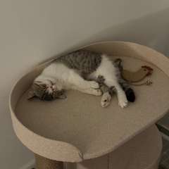 Фото отзыва 11002554