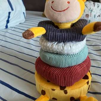 Игрушка Zeimas пирамидка: отзыв пользователя Детский Мир