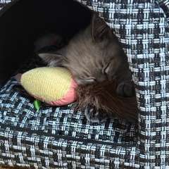 Фото отзыва 10327837