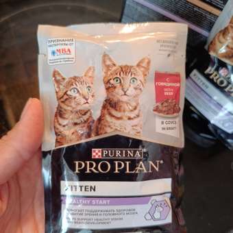 Корм влажный для котят PRO PLAN HEALTHY START 85г с говядиной в соусе: отзыв пользователя. Зоомагазин Зоозавр