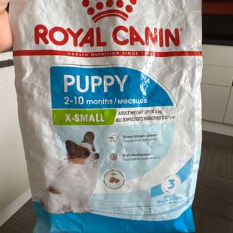 Корм для щенков ROYAL CANIN Junior миниатюрных пород 1.5кг: отзыв пользователя. Зоомагазин Зоозавр