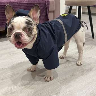 Куртка-дождевик для собак Зоозавр тёмно-синяя 50: отзыв пользователя. Зоомагазин Зоозавр