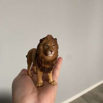 Фигурка Collecta Лев африканский: отзыв пользователя Детский Мир