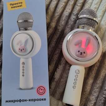 Игрушка музыкальная Attivio Заяц микрофон: отзыв пользователя ДетМир