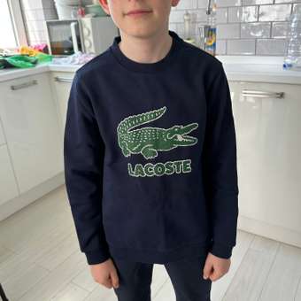 Свитшот Lacoste: отзыв пользователя Детский Мир