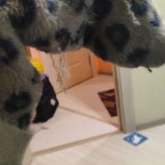 Фото отзыва 10647540