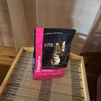 Корм сухой для кошек Eukanuba Cat 400г птица с избыточным весом и стерилизованных: отзыв пользователя. Зоомагазин Зоозавр