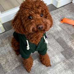 Фото отзыва 11093249