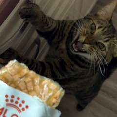 Фото отзыва 10571150