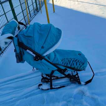 Санки-коляска Ника: отзыв пользователя Детский Мир