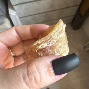 Лакомство для собак TITBIT Колечки из высушенной трахеи говяжьей XL 120 г: отзыв пользователя. Зоомагазин Зоозавр