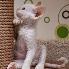 Фото отзыва 10969155