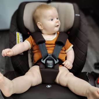 Автокресло BabyCare Shelter Isofix 0+/1/2/3 (0-36 кг) коричневый: отзыв пользователя Детский Мир