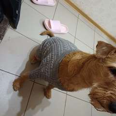 Фото отзыва 10981195