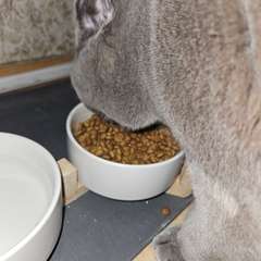 Фото отзыва 11008890