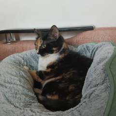 Фото отзыва 10685056