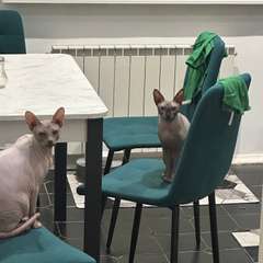 Фото отзыва 10575954