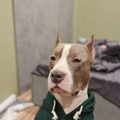 Фото отзыва 11119942