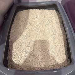 Фото отзыва 10868522