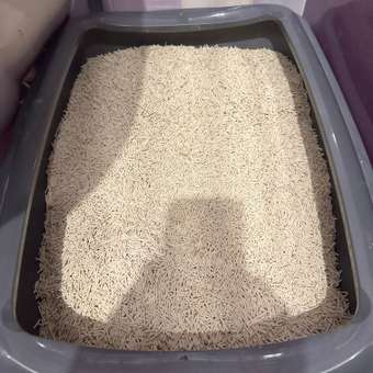 Наполнитель для кошачьего туалета Homzen Tofu Сливочный комкующийся 6л: отзыв пользователя. Зоомагазин Зоозавр