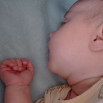 Смесь сухая Nutrilak Premium гипоаллергенная 600г с 0месяцев: отзыв пользователя ДетМир