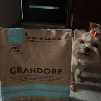 Корм для собак GRANDORF Dog White Fish Mini белая рыба для собак мини пород 3кг: отзыв пользователя. Зоомагазин Зоозавр