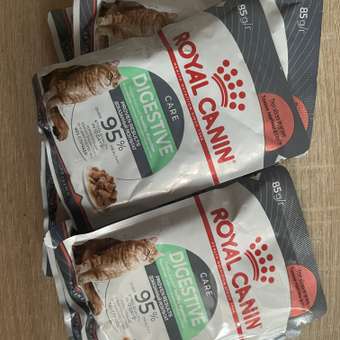 Корм для кошек Royal Canin 85г Digestive Care соус: отзыв пользователя. Зоомагазин Зоозавр