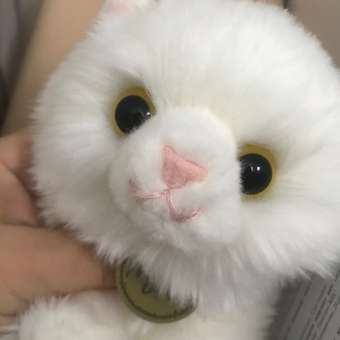 Мягкая игрушка Aurora котик: отзыв пользователя Детский Мир