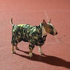 Фото отзыва 10763521